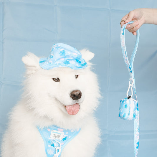 Cinnamoroll x Sassy Woof Dog Bucket Hat (Clouds)