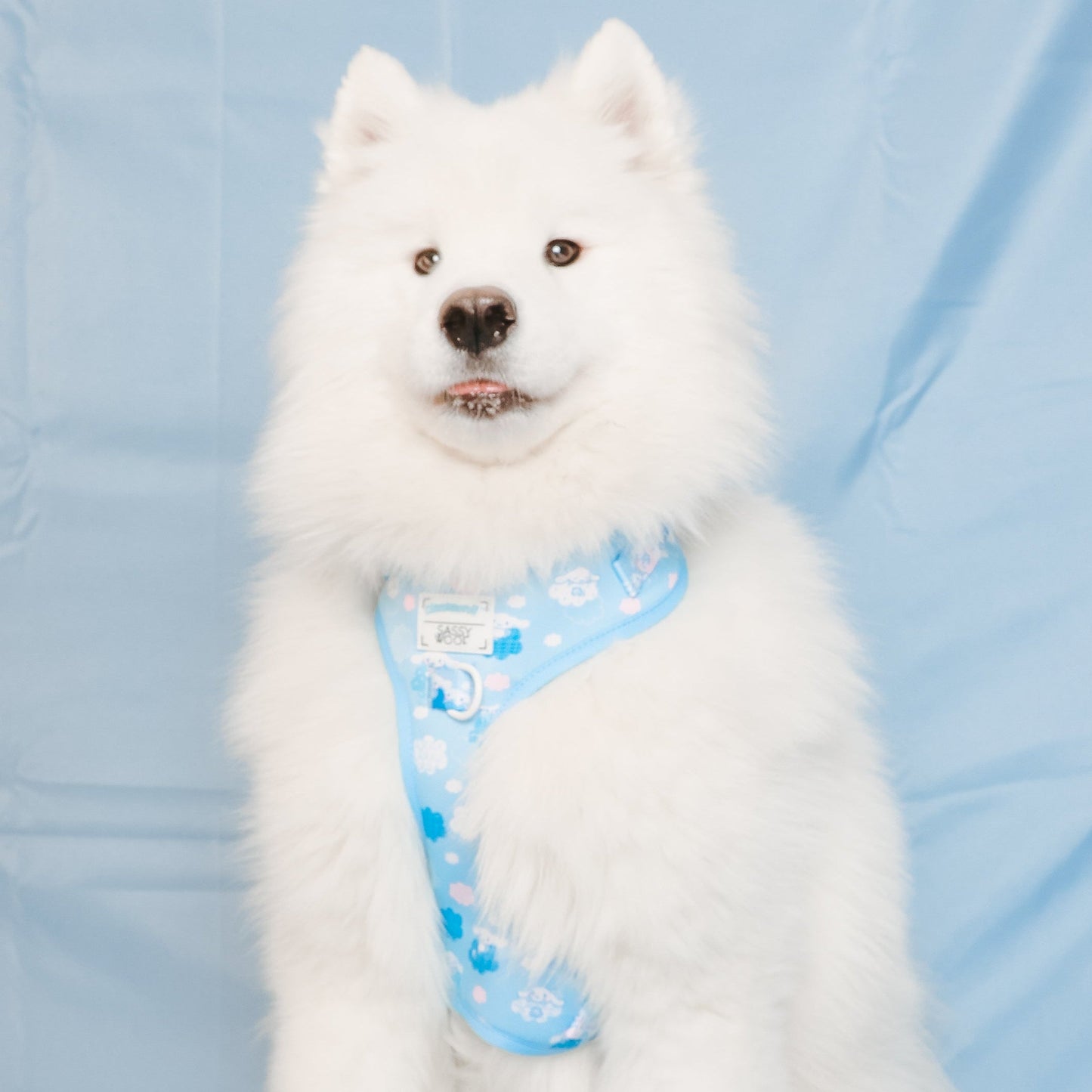 Cinnamoroll x Sassy Woof Adjustable Dog Harness (Clouds)