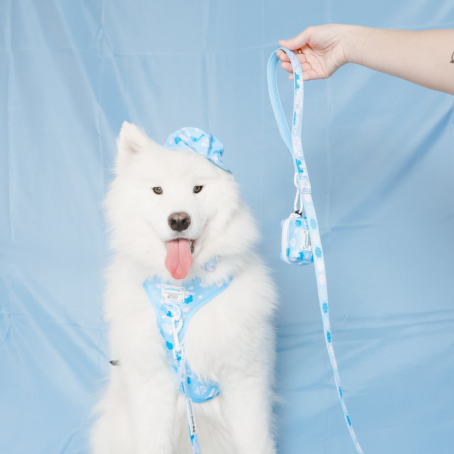 Cinnamoroll x Sassy Woof Dog Leash (Clouds)