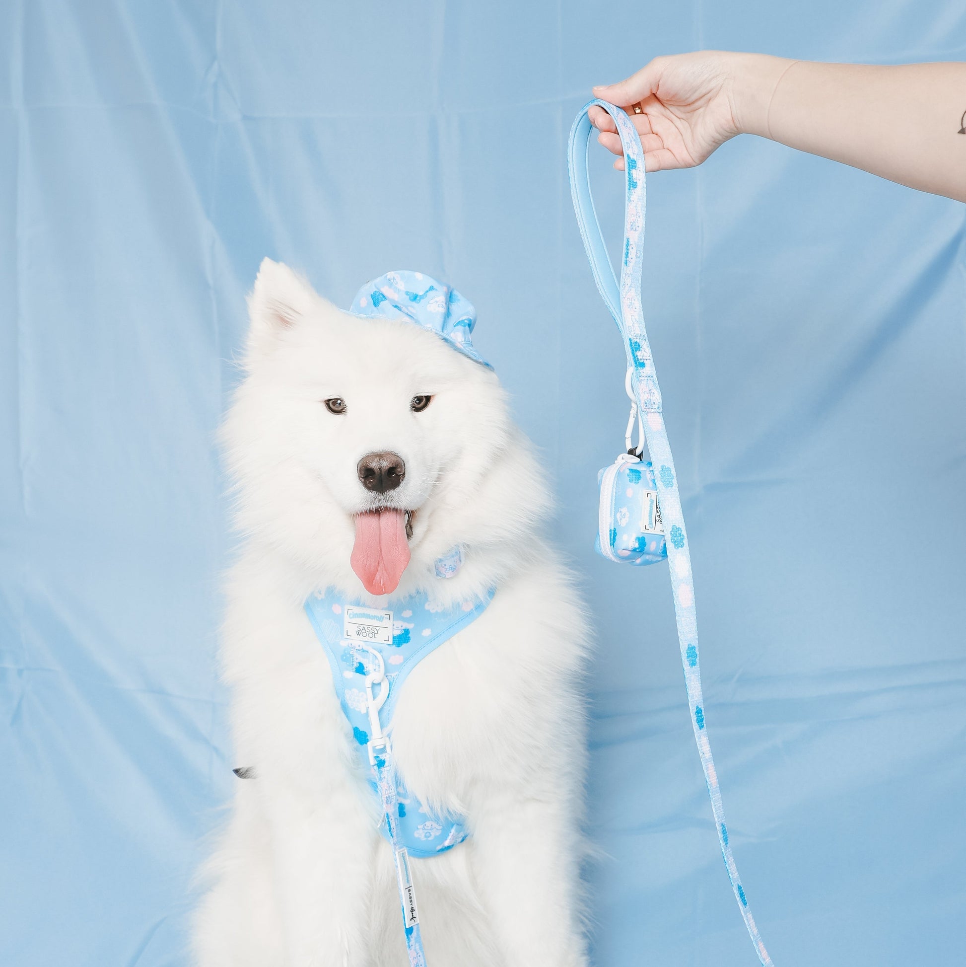 Cinnamoroll x Sassy Woof Dog Leash (Clouds)