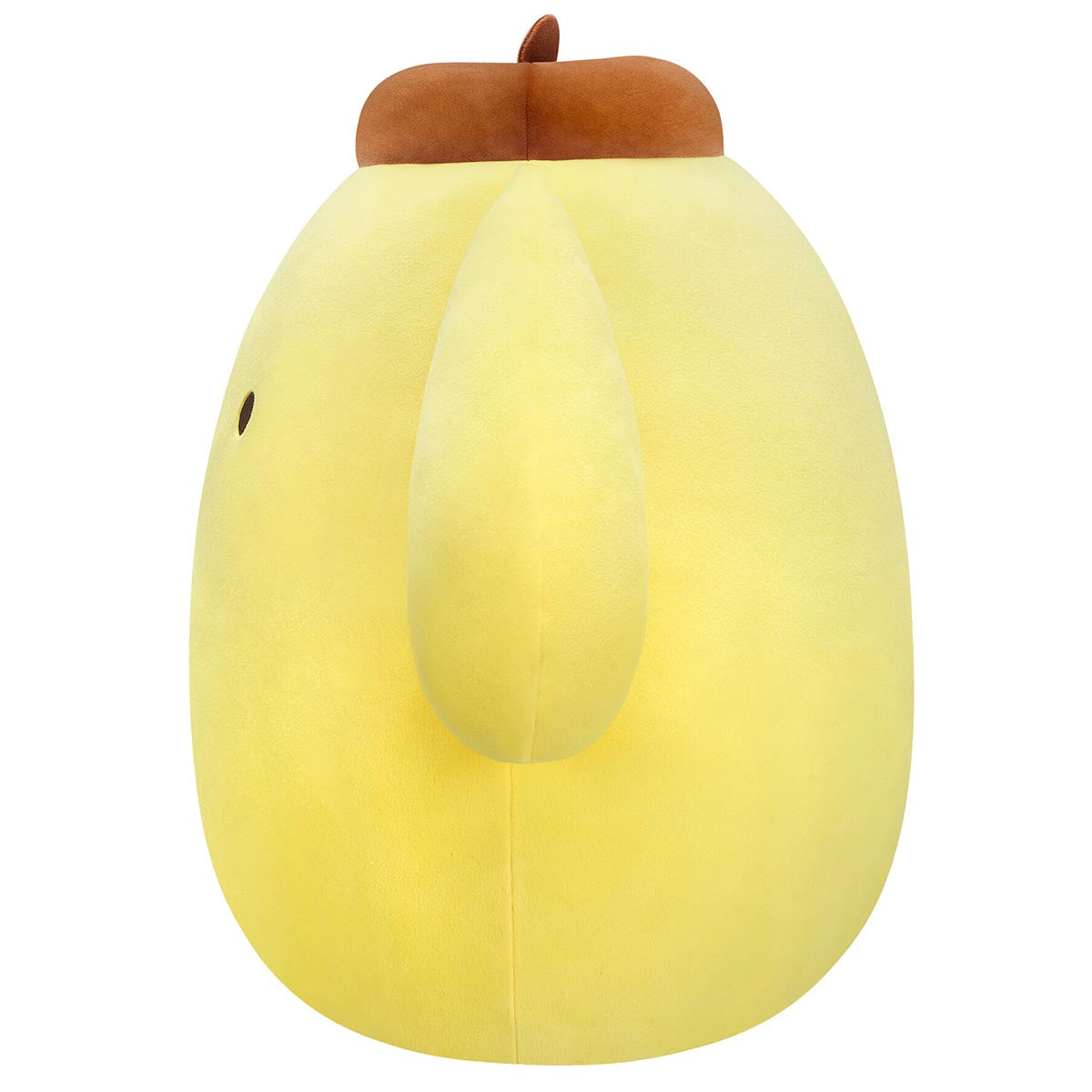 Pompompurin Squishmallows Plush (Assorted)